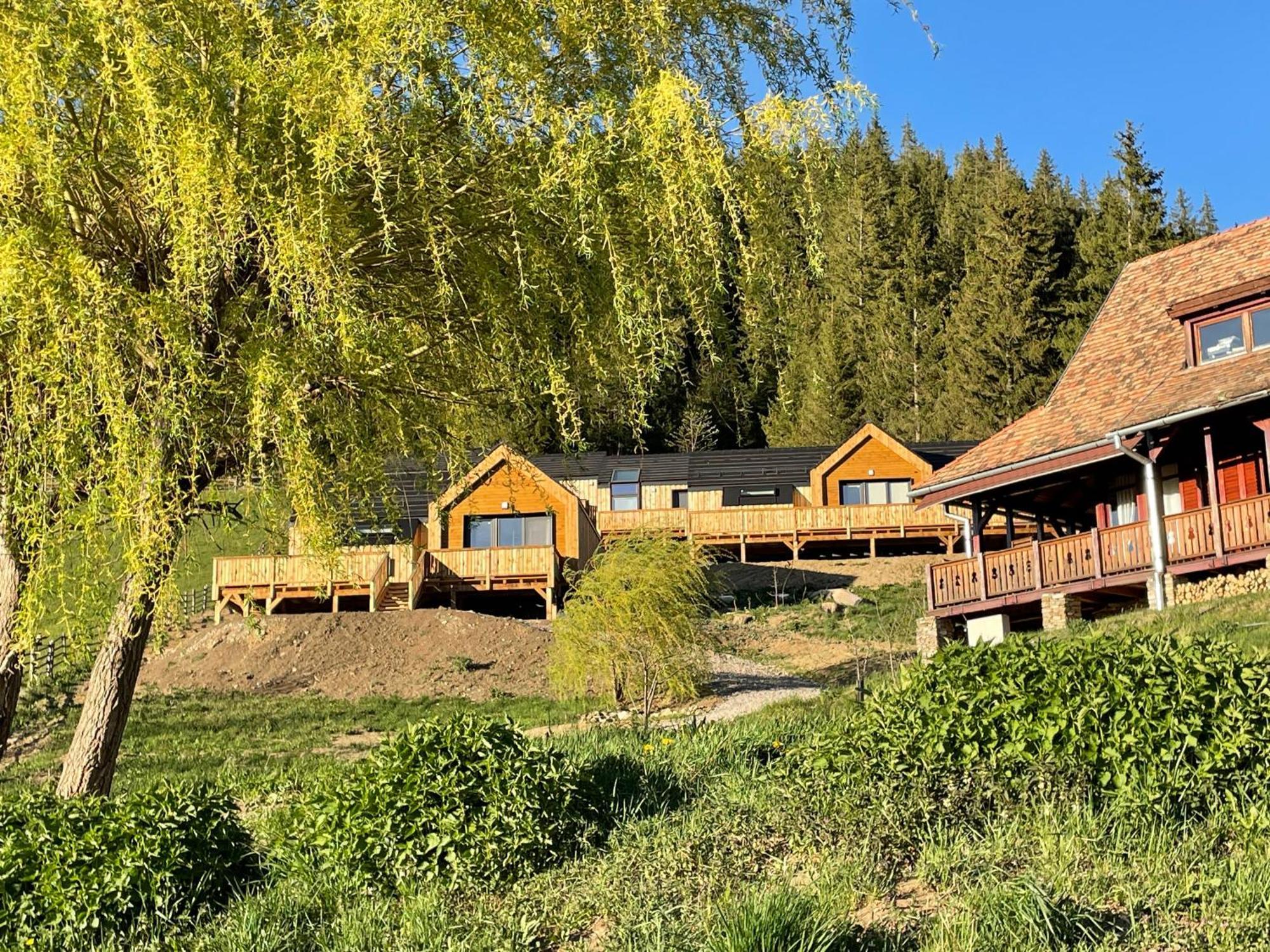 Kaliba Cabins Valea Boros ภายนอก รูปภาพ